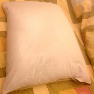 LG Buckwheat Pillow
